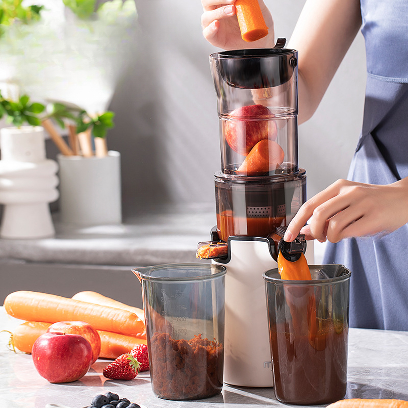 Espremedor lento elétrico domé - Citrus Juicer Bar avaliação e preço